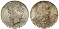 1 dolar 1923, Filadelfia, plamiasta patyna