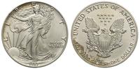 1 dolar 1987, Filadelfia, srebro 31.29 g,  '999'