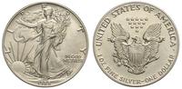 1 dolar 1988, Filadelfia, srebro 31.62 g,  '999'