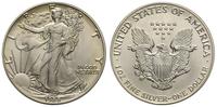 1 dolar 1988, Filadelfia, srebro 31.32 g,  '999'