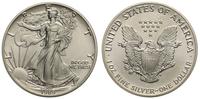 1 dolar 1989, Filadelfia, srebro 31.53 g,  '999'