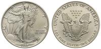 1 dolar 1990, Filadelfia, srebro 31.22 g,  '999'