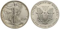 1 dolar 1991, Filadelfia, srebro 31.20 g,  '999'