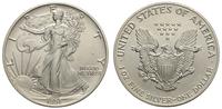 1 dolar 1991, Filadelfia, srebro 31.27 g,  '999'