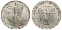 1 dolar 1992, Filadelfia, srebro 31.18 g,  '999'