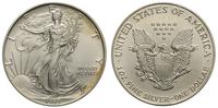 1 dolar 1993, Filadelfia, srebro 31.36 g,  '999'