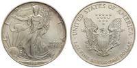 1 dolar 1994, Filadelfia, srebro 31.65 g,  '999'