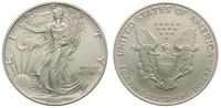 1 dolar 1995, Filadelfia, srebro 31.32 g,  '999'