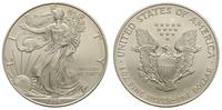 1 dolar 1996, Filadelfia, srebro 31.22 g,  '999'