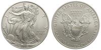 1 dolar 2010, Walking Liberty, srebro 31.1 g