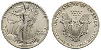 1 dolar 1989, Walking Liberty, srebro 31.1 g