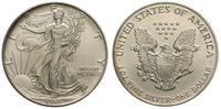 1 dolar 1993, Walking Liberty, srebro 31.1 g