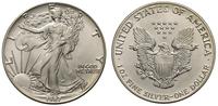 1 dolar 1987, Filadelfia, Walking Liberty, srebr