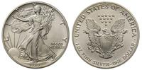 1 dolar 1989, Filadelfia, Walking Liberty, srebr