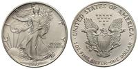1 dolar 1990, Filadelfia, Walking Liberty, srebr