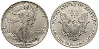 1 dolar 1991, Filadelfia, Walking Liberty, srebr