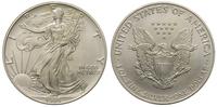 1 dolar 1995, Filadelfia, Walking Liberty, srebr