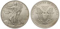 1 dolar 1996, Filadelfia, Walking Liberty, srebr