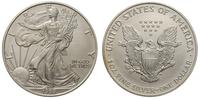 1 dolar 1998, Filadelfia, Walking Liberty, srebr