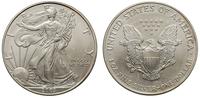 1 dolar 2003, Filadelfia, Walking Liberty, srebr