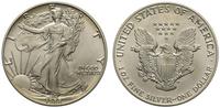 1 dolar 1988, Filadelfia, srebro 31.35 g