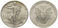 1 dolar 1989, Filadelfia, srebro 31.35 g