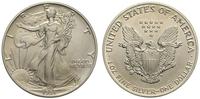 1 dolar 1991, Filadelfia, srebro 31.35 g