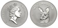 1 dolar 1995, Głowa kangura, srebro 31.33 g, ste