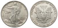 1 dolar 1991, 'Walking Liberty', srebro 31.30 g