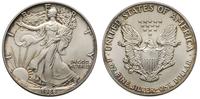 dolar 1986, Filadelfia, srebro 31.23 g, patyna