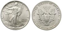 dolar 1987, Filadelfia, srebro 31.16 g, piękny