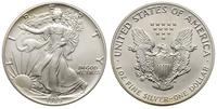 dolar 1989, Filadelfia, srebro 31.57 g, piękny