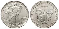 dolar 1991, Filadelfia, srebro 31.15 g, piękny