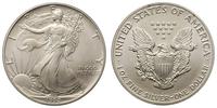 dolar 1992, Filadelfia, srebro 31.54 g, piękny