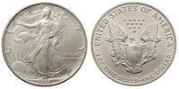 dolar 1993, Filadelfia, srebro 31.21 g, piękny