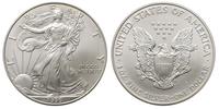 dolar 1999, Filadelfia, srebro 31.27 g, piękny