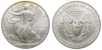 dolar 2002, Filadelfia, srebro 31.21 g, piękny