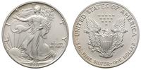 1 dolar 1991, Filadelfia, srebro '999' 31.13 g