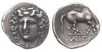 drachma ok. 356-342, Aw: Głowa nimfy Larisy z ro