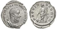 denar, Aw: Popiersie cesarza w prawo, Rw: Provid