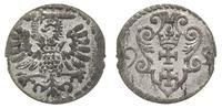 denar 1595, Gdańsk, drobna wada blachy, ale ładn