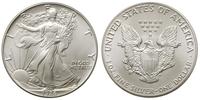 1 dolar 1986, srebro, 31.28 g
