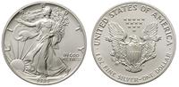 1 dolar 1989, srebro, 31.29 g