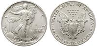 1 dolar 1991, srebro, 31.35 g
