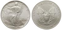 1 dolar 1995, srebro, 31.19 g