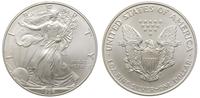 1 dolar 1996, srebro, 31.44 g