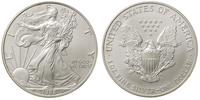 1 dolar 1998, srebro, 31.24 g
