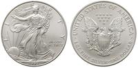 1 dolar 1999, srebro, 31.23 g