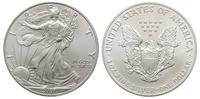 1 dolar 2001, srebro, 31.47 g