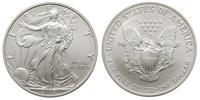 1 dolar 2003, srebro, 31.22 g